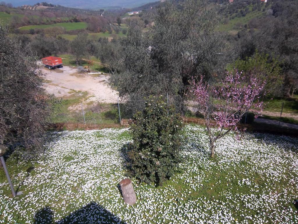 Agriturismo Norianino มอนเตเมราโน ภายนอก รูปภาพ