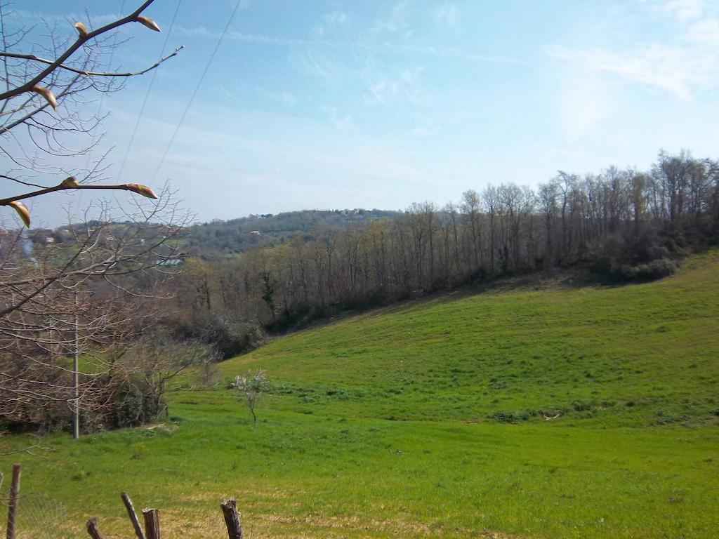 Agriturismo Norianino มอนเตเมราโน ภายนอก รูปภาพ