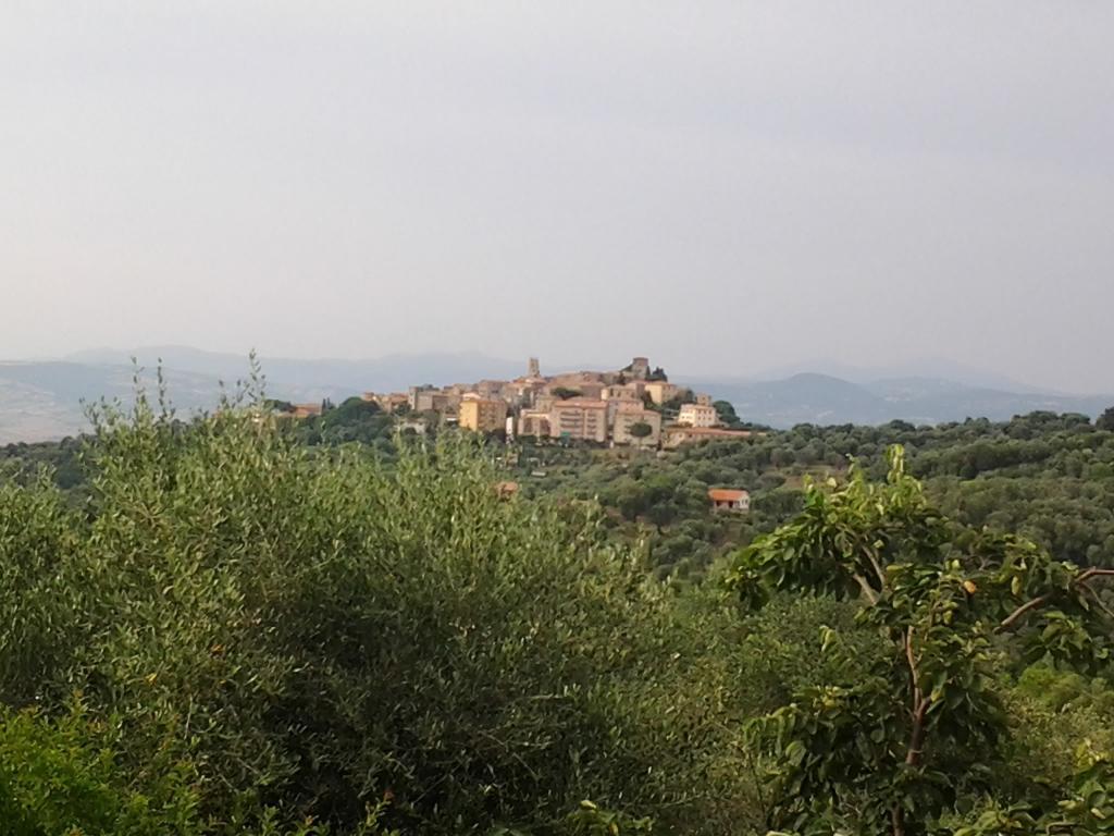Agriturismo Norianino มอนเตเมราโน ภายนอก รูปภาพ
